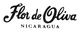Flor de Oliva